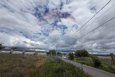 Teren Construcții intravilan de 1875 mp, în Murighiol - 6