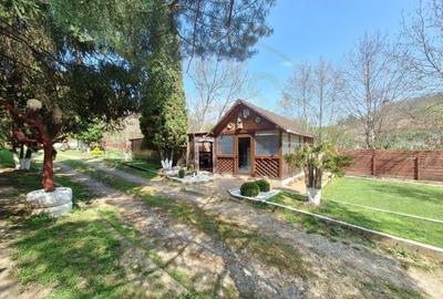 Casa de Vacanta - Un Colt de Rai , Stefanesti-Arges - 5
