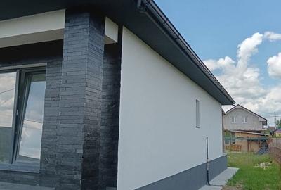 Casă cu 3 camere în Beba Veche - 1