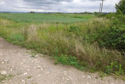 Teren de 4100 mp, în Pricaz - 6