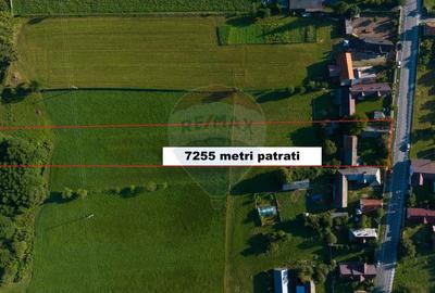 Liniste, aer curat si pamant bun - 7255 mp in Vama Buzaului - 16
