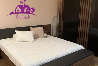Apartament cu 2 camere semidecomandat în Ultracentral - 9