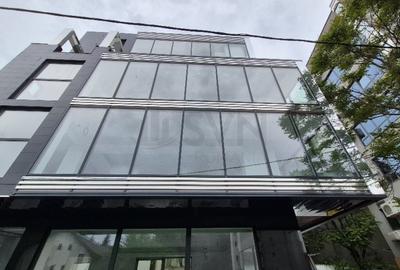 Birou, 580 mp în Herăstrău