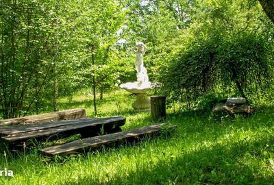 Spațiu comercial, în Cheia - 11