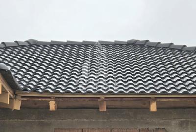 Duplex Mosnita Noua - 4