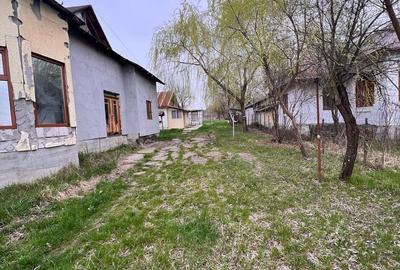 Casă cu 4 camere cu Teren 2244 Mp în Măciuca - 16