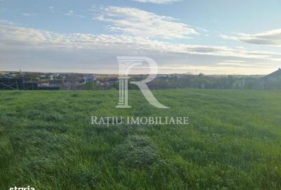 Casă cu 3 camere în Rontău - 4