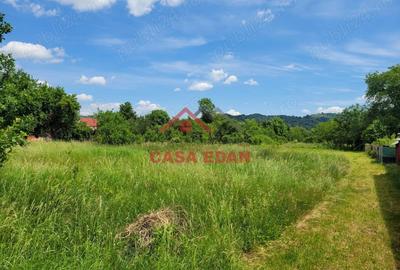 Casă cu Teren 3399 Mp în Brebu - 10