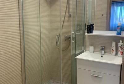 Apartament cu 3 camere decomandat, mobilat în Calea București - 13