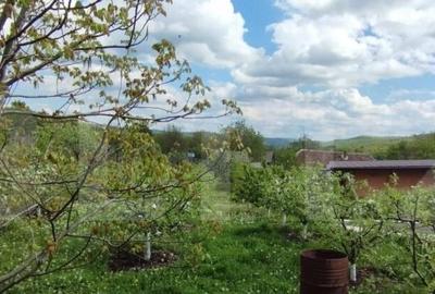 Casa+ casa vacanta, 2200 mp livada, Schitu-Duca - 5