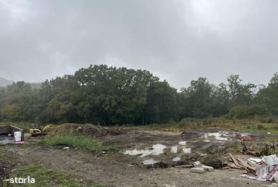 Spațiu comercial, în Făget - 1