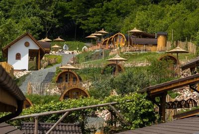 Casă cu 6 camere cu Teren 3900 Mp în Mediaș - 16