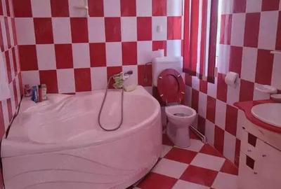 ViLA de LUX cu un DESIGN deosebit in centrul orasului Nadlac - 7