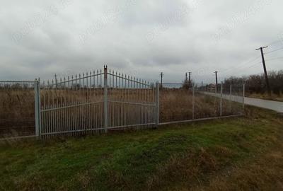 Teren de 1471 mp, în Glogoveanu - 10