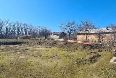 Teren de 1600 mp, în Islaz - 2