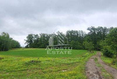 Spațiu comercial, în Cuied - 1