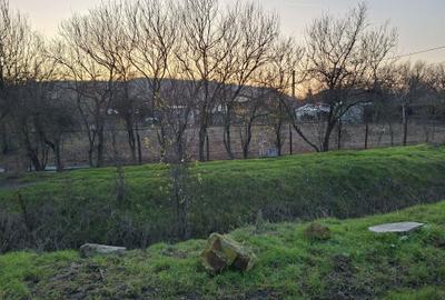 Teren de 1000 mp, în Cățelu - 3