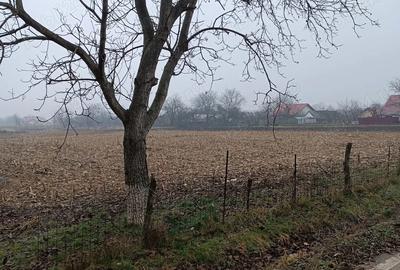 Casă în Dumbrăvița - 1