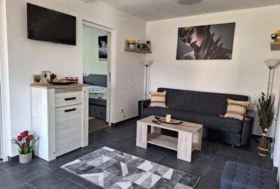 Casă cu 2 camere în Hangani - 7