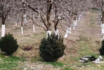 Casă individuală cu 2 camere cu Teren 2800 Mp în Boțești - 6