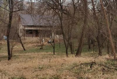 Casă cu 2 camere cu Teren 1960 Mp în Teișani - 6