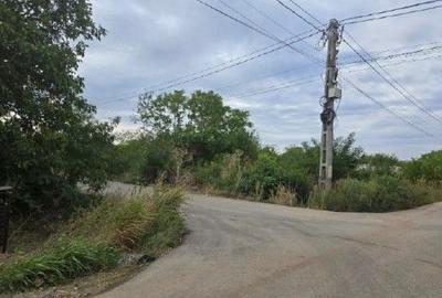 Teren de 1527 mp, în Vieru - 10
