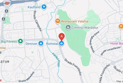 Apartament 2 camere de inchiriat, Manastur, in apropierea USAMV - 1