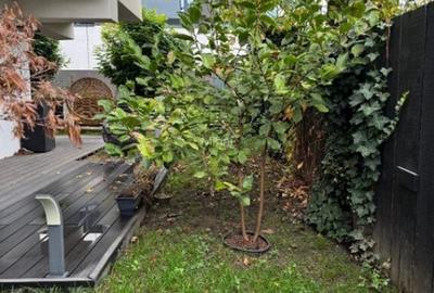 Apartament cu 3 camere decomandat în Florilor - 17