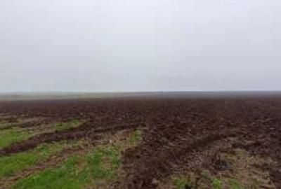 Teren de 15000 mp, în Limanu - 11