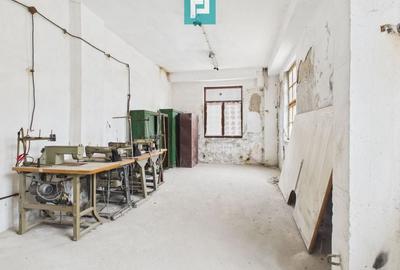 Spațiu de producție cu 4 camere în Periam - 4