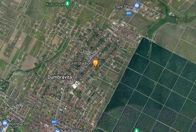 Teren Construcții intravilan de 1466 mp, în Dumbrăvița - 3