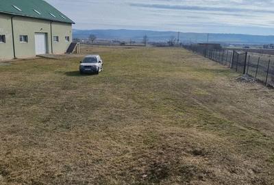 Spațiu comercial, de 10,000 mp, în Central - 16