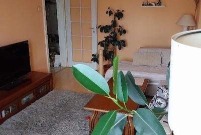 Apartament cu 2 camere decomandat în Gara - 10