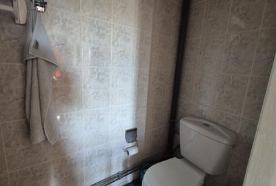 Casa de vanzare in Bajesti, comuna Balilesti, judetul Arges – Mioveni - 13