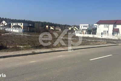 Spațiu comercial, în Trivale - 1