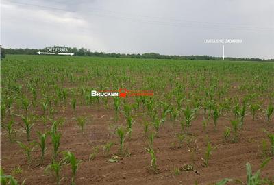 Teren de 43500 mp, în Sud - 7