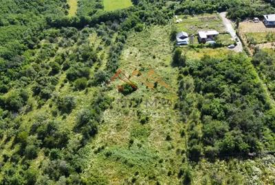 Teren intravilan 20280 mp, oportunitate investitie, Gageni, Prahova - 12