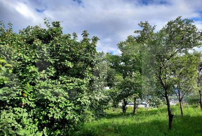 Teren de 1215 mp, în Gruia - 2