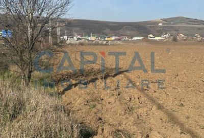 Oportunitate de investitie, teren intravilan, 10 000mp, zona Sub Coasta - 3