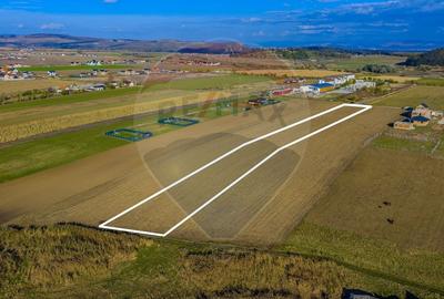 Teren Construcții intravilan de 8900 mp, în Sânpetru - 2