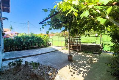 Casa Borlesti Merisani Arges - 2