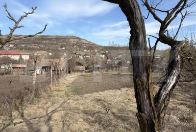 Casă cu 2 camere cu Teren 1600 Mp în Teaca - 5