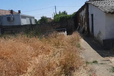 Vand teren strada principala Mosnita Noua, 1493 mp - 1