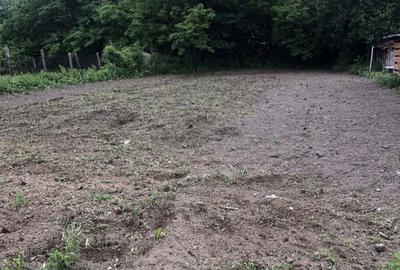 2 Cas cu gradina si terenuri - 1