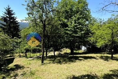 Teren unicat in Piatra Neamt - 9