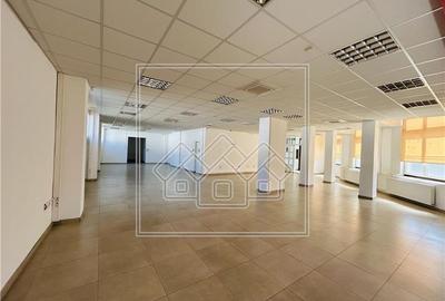 Spatiu comercial, 876 mp utili,  10 parcari, Piata Cluj - 2