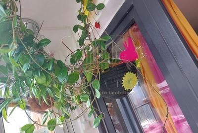 Garsonieră decomandată în Nicolae Grigorescu - 5