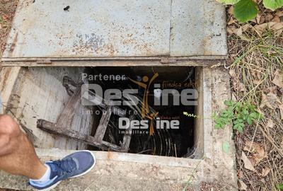 Teren Construcții intravilan de 3523 mp, în Tomești - 3