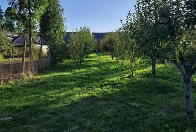 Casă cu 4 camere cu Teren 1400 Mp în Central