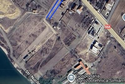 Teren cu vedere la Dunăre în Șimian - 4